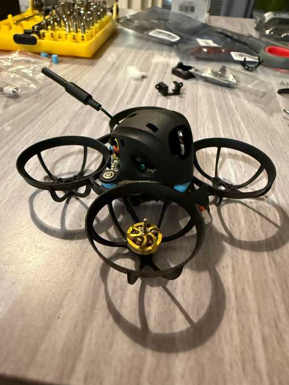 preview of the build